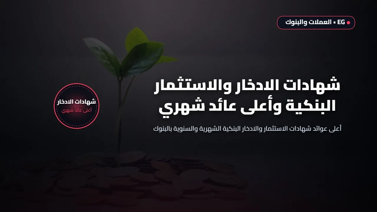 "رابط سريع" نتائج السادس الإعدادي الدور الأول في العراق 2025 بالإسم